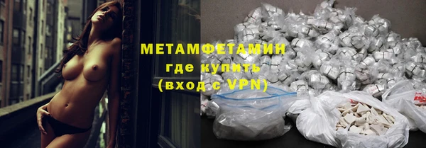 сатива Зеленокумск
