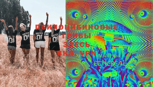 сатива Зеленокумск