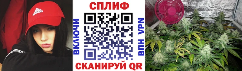 Шишки марихуана MAZAR  Чайковский 